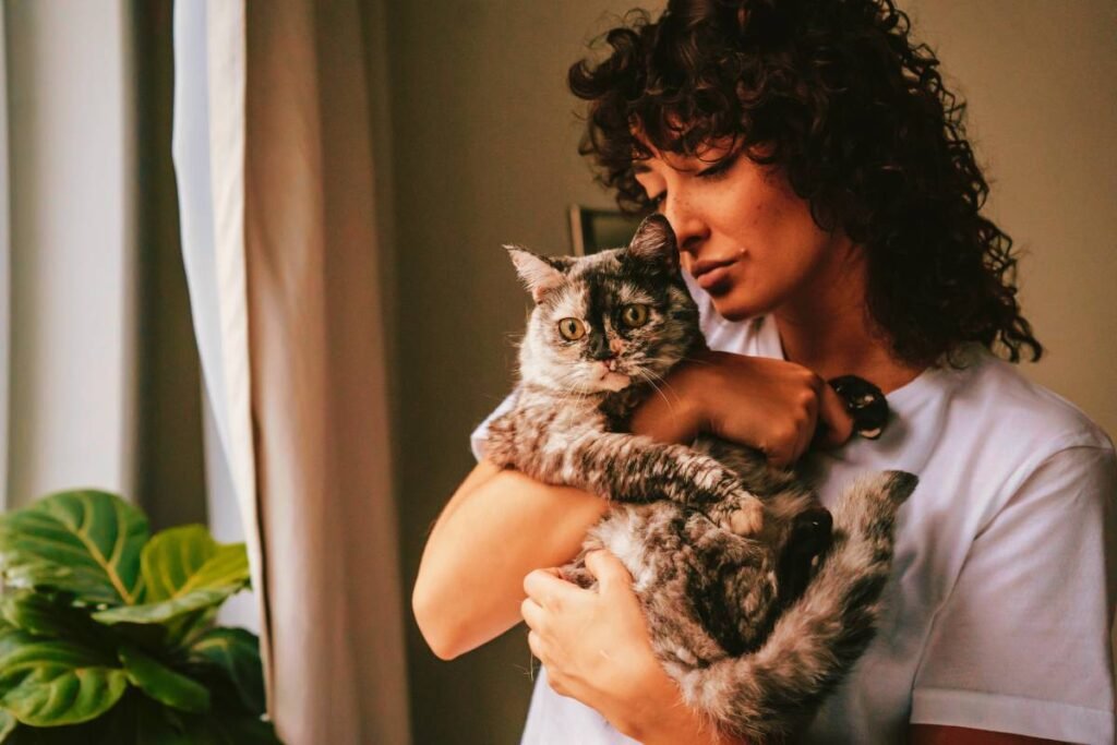 Cuidados com Gatos de Raças